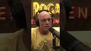 Unmasking Cults: From MAGA to Far Left Ideologies