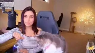 Alinity abuses her pets. BRUH MOMENT