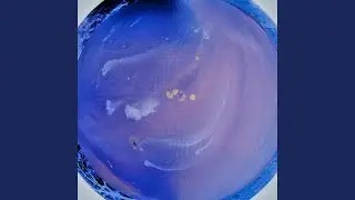 loculus