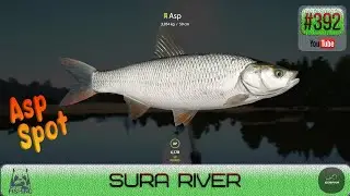 Russian Fishing 4 - Sura River - Asp Spot - #392