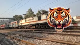Dangerous Lion Headed Sarnath Exp Indian Railway Furis Moving Throughout At Station Crosing 