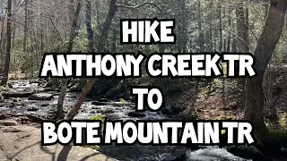 Hike Anthony Creek Trail to Bote Mountain Trail
