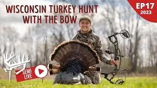 Wisconsin Turkey Hunt With The Bow