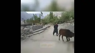 Beautiful view of Ayshi to Damas new constructed road | Punial Ghizer| Gilgit Baltistan