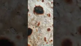 #shortvideo  #viralshort  #foodlover  #pyajparatha  #healthybreakfastrecipeshorts #healthybreakfast