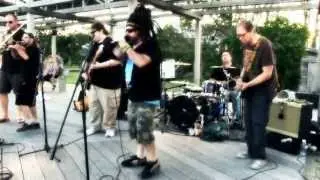 The Golden Fists of Fury w Shecky Davis - Set #1