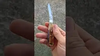 The Collection: (Knife 2) 2024 Case Mini Trapper BoneStag 6.5207W
