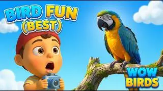 Птицы для малышей 🐦🎶 Учим названия птиц | Тику и Монти | Kushu TV Kids