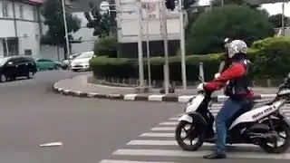 Zebra crossing | Funny video