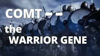 How to Manage the COMT -- Val/Val Gene (Warrior vs. Worrier)