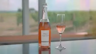 From Cellar to Tasting Bar: Spend Your Weekend at Lakeview Wine Co