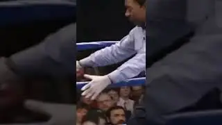 Chaos vs Championship Grit