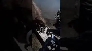 طريقه تغذيه الماعز  بالتفصيل🐐💙👍