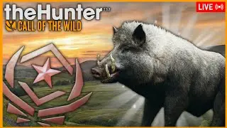 🔴🇪🇦🔴🐗Grindeo de GREAT ONE de JABALÍ-THE HUNTER CALL OF THE WILD🌲 #thehunterCOTW