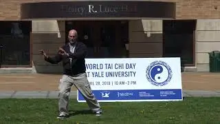 3 Element Martial Arts, Gu Ru Zhang Yang Style Tai Chi, 2018 WTCD @ Yale