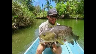 bass and spot tail bass movie 4k