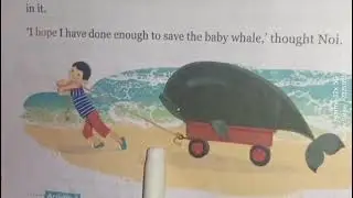 Noi saves a whale: full explanation 