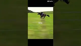 Subscribe!!!!#horse #equestrian #galloping