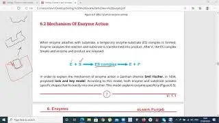 es complex