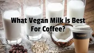 What Vegan Milk is Best for Coffee