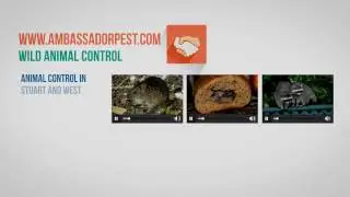 Pest Control Palm Bay 321-250-9993 8501 Astronaut Blvd Cape Canaveral, FL 32920 Ambassador Pest Mana