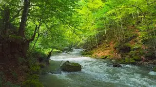 Journey of the Spirit - Peaceful Native American Flute Music