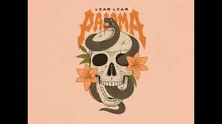 Paloma - Liar Liar