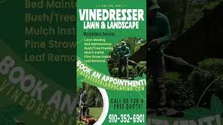 Keep your landscape in top shape year-round with full-service maintenance tailored to your yard.