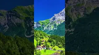 Surah Ad-Duha(93)|Short & Powerful Reminder#SurahAdDuha#SurahAlDuha#QuranShorts#IslamicShorts