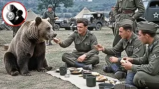 The Polish Soldier Who Adopted a Bear That Became an Army Corporal &mdash; The Legend of Wojtek