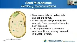 Seeds: Exploring Anatomy and the Art of Preservation