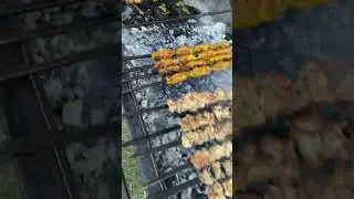 Special chicken Mala booty and see kebab