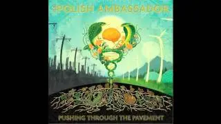 The Polish Ambassador - Pushing Through The Pavement - 09 Rise and Release ft. Raashan Ahmad