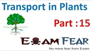 Biology Transport in Plants part 15 (Transpiration pull) CBSE class 11 XI