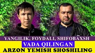 MOLLAR UCHUN ARZON YEMISH SHOSHILING FOYDALANIB QOLING KELISHGAN XOLDA DASTAVKASI BOR! KATTAQO'R'GON