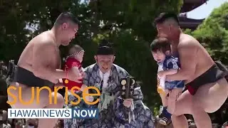 What's Trending: Crying sumo baby competition