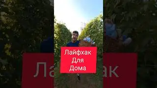 Домашняя Хитрость, которую вам НУЖНО знать #shorts