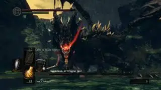 Black Dragon Kalameet - Endurance Boss Fight