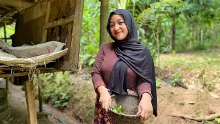 Kaget! Tak Di Sangka Berjumpa Gadis Cantik Mirip Artis Nissa Sabyan Di Pelosok Desa