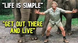 Steven Irwin Clips To Brighten Your Day