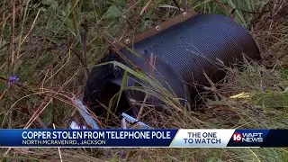 Copper thieves take down telephone cables