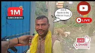 माता ke विसर्जन के लिए अंकित का Thaar 🚘 .......#vlog #local #machani #machaniboys #viral #trending 