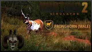 Время для новой легендарной партии! Hunting Simulator 2