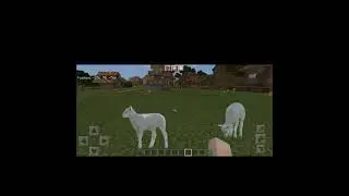 Realistic sheep in minecraft #shorts #minecraft #amazing #reality #real #realistic #sheep #epic