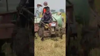 Small Tractors Transport Rice