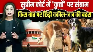 Supreme Court Stray Dogs सुनवाई की 6 बड़ी बातें: Judge Bench-वकीलों के बीच कुत्तों के आतंक पर महाभारत