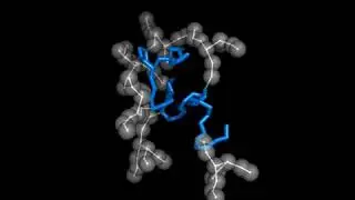Folding of a glycoprotein