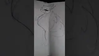 Fighter (speedpaint)