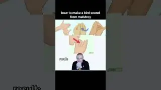 tutorial mellstroy #tutorial #birds #mellstroy #memes