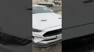 Ferrari GT mustang in Qatar 🇶🇦 Road sad story #gtmustang
